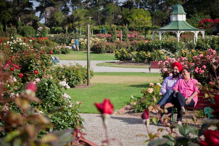 Werribee Rose Garden