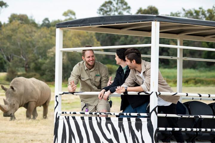 Early Morning Savannah Experience at Werribee Open Range Zoo